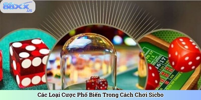 Các Loại Cược Phổ Biến Trong Cách Chơi Sicbo
