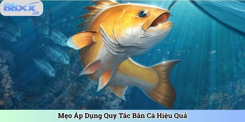 Mẹo Áp Dụng Quy Tắc Bắn Cá Hiệu Quả