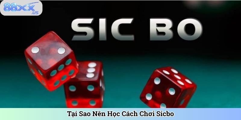 Tại Sao Nên Học Cách Chơi Sicbo