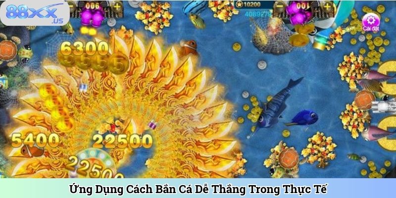 Ứng Dụng Cách Bắn Cá Dễ Thắng Trong Thực Tế